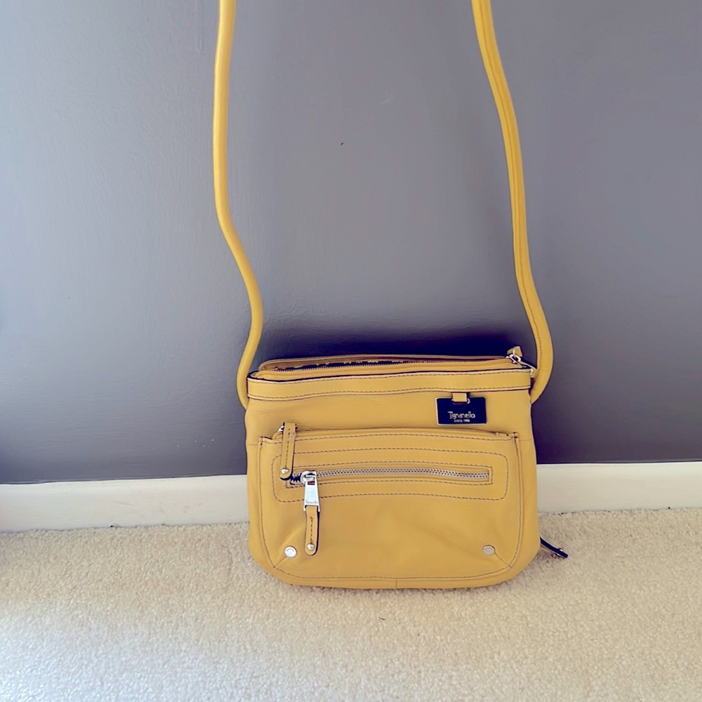 Tignanello Leather Crossbody